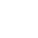 Brand Identity Icon
