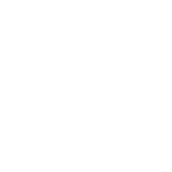 SEO Icon