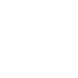 Webflow Development Icon